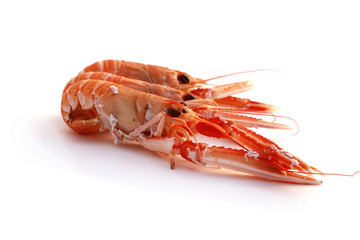 Langoustes