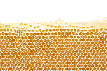 Honeycomb in the wood frame close up with copyspace