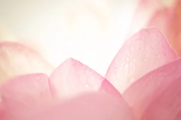 Afwasbaar Fotobehang Lotusbloem bloemblaadjes in zoete kleuren in zachte kleuren en vervagingsstijl op moerbeipapiertextuur