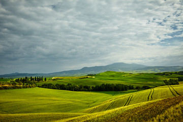 Fototapeta premium Tuscany hills