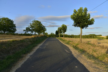 Route de campagne sous la lumière du soleil couchant à Vendoire