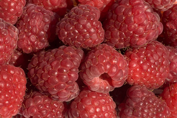 Raspberries