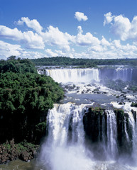 Obrazy  wodospad Iguazu