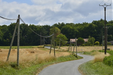 Un petit zig-zag avant d'entrer dans l'un des bois du P&eacute;rigord Vert 
