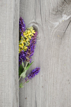 Fototapeta flowers on a wooden board