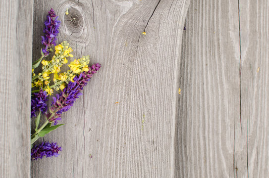 Fototapeta wooden background with wildflowers