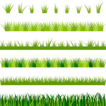 Collection of green grass, vector illustration