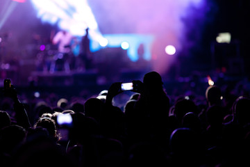 Crowd at concert