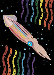 Deep-water squid and seaweed. © Rimmolki