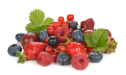 Fresh berries