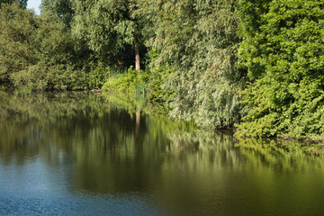 Trees reflected in the mirror-smooth water surface