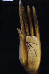 Hand of Buddha
