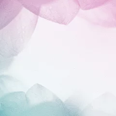 Photo sur Plexiglas fleur de lotus sweet color flower petals in soft color and blur style on mulberry paper texture  