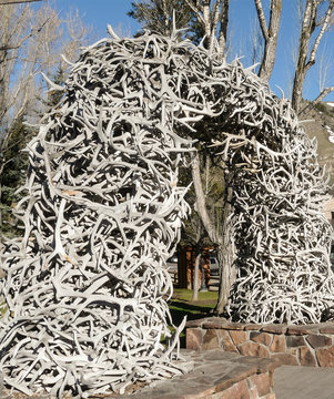 Elk Antler Arche In Jackson Hole