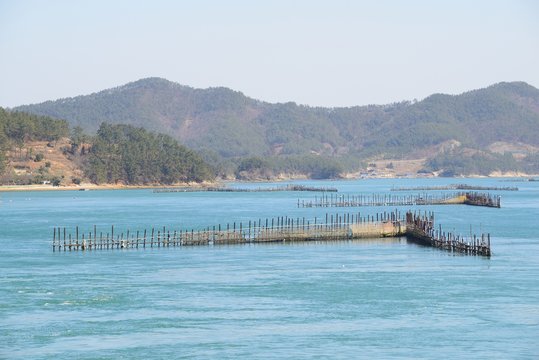 Korean Traditional Method for Fishing anchovy by flow of sea wat