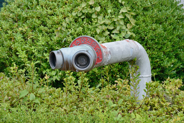 fire  hydrant in plants
