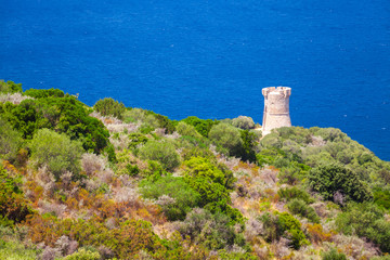 Fototapeta na wymiar Genoese Campanella tower, Corsica, France