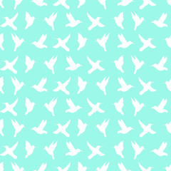 Seamless pattern of silhouette of colibri  on a turquoise background