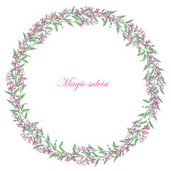 Wreath of salvia painted in watercolor on a white background; frame,  decoration postcard or invitation for wedding, celebration, holiday