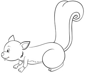 Eichhörnchen Ausmalbild