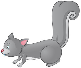 Eichhörnchen auf Nahrungssuche