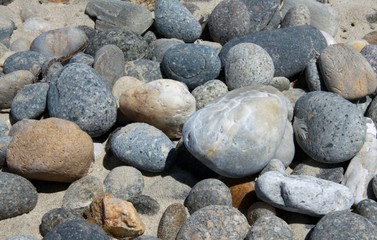 Steine am Strand in Nahaufnahme