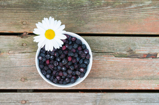 wildblackberries in a bowl with a single daisy flower