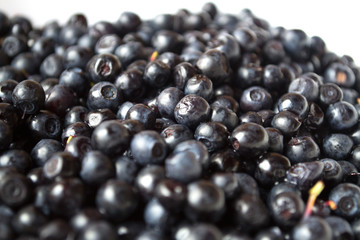 Blueberry