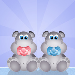 baby hippos