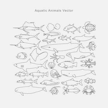 Drawing aquatic animals, vector