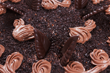 Chocolate cake close-up