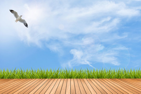 Wood floor and grass under blue sky and bird
