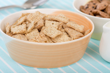 Cinnamon Cereal - Cinnamon flavoured dried cereal. Delicious and healthy breakfast meal.
