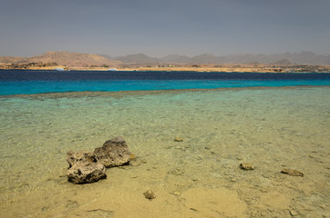 Coast in Egypt. Red Sea