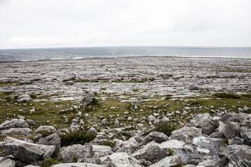 Irish Rock Landscape