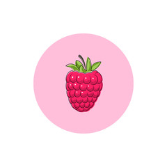 Icon Colorful Raspberries