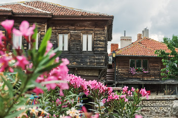 Fototapeta na wymiar old houses and flowers