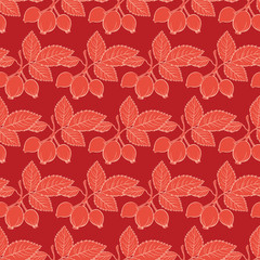 Vector Red Rosehip Drawing Stripes Seamless Pattern