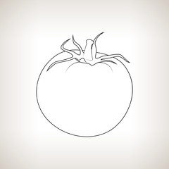  Tomato in the Contours on a Light Background