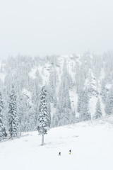 human and dog walk in mountain with snow ,wa
