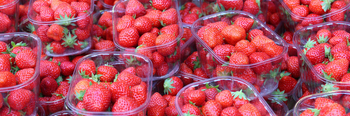 Fraises