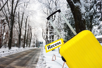 Recess. Suitcase with label at snow.