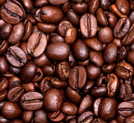 Roasted coffee beans