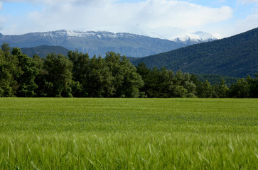 Cañón de Añisclo, Parque Nacional de Ordesa y Monte Perdido, Pirineo de Huesca,