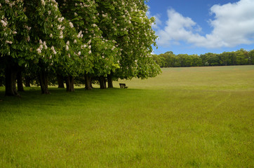 banc à l'orée des bois