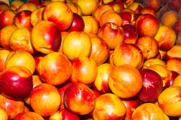 Juicy nectarines at local fruit market