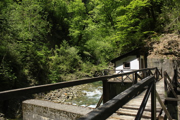 Cañón de Añisclo, Parque Nacional de Ordesa y Monte Perdido, Pirineo de Huesca,