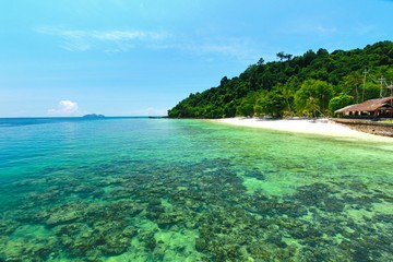 Paradise beach in kohngai island at trang Thailand 