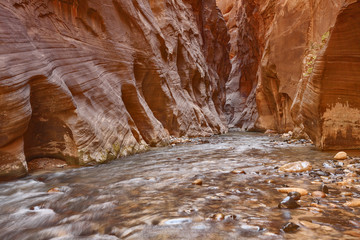 Narrows - Zion National Park