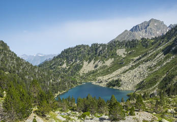Fototapeta na wymiar Water and mountains in the natural park of the French Pyrenees